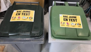 Test de bacs jaunes